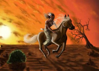Indian Horse Ride Jokes Times