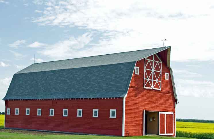 Burned Barn Jokes Times