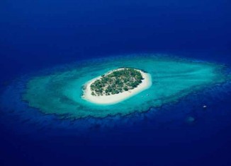 In The Beautiful South Pacific jokes Times