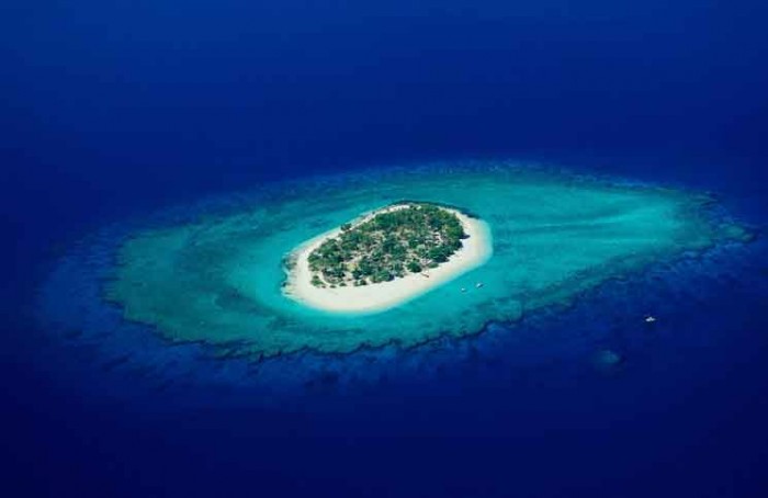 In The Beautiful South Pacific jokes Times In The Beautiful South Pacific jokes Times