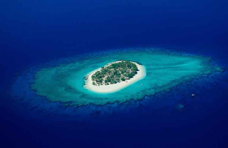 In The Beautiful South Pacific In The Beautiful South Pacific jokes Times