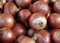 Crying Food Jokes Times