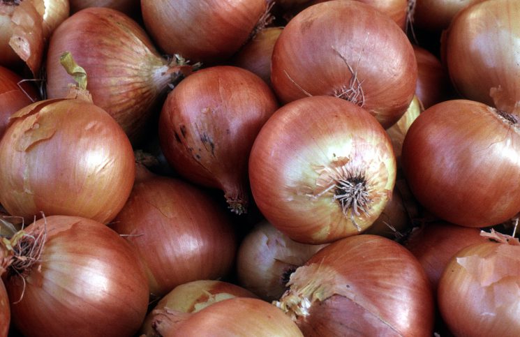 Crying Food Jokes Times