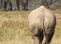 An Insult Jokes Times