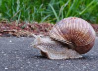 10 Years is a Long Time Jokes Times