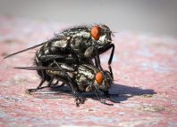 I have No Idea Jokes Times