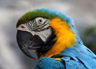 Jesus is watching you Jokes Times