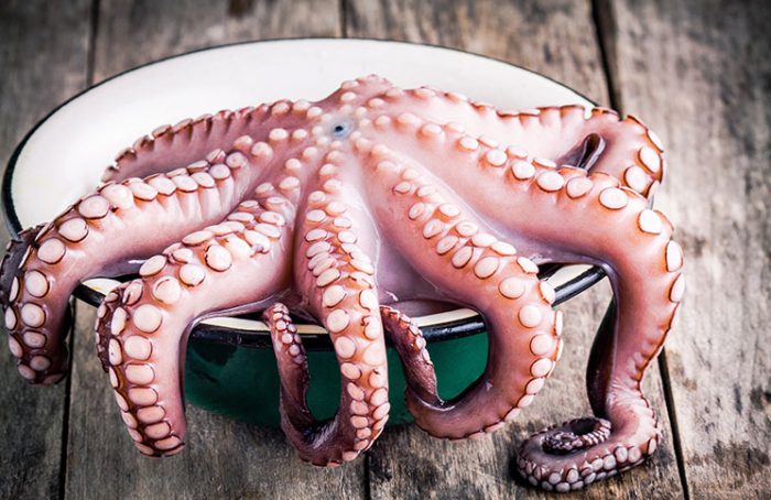 Musical Octopus Jokes Times Musical Octopus Jokes Times