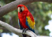 Who Do You Think Jokes Times