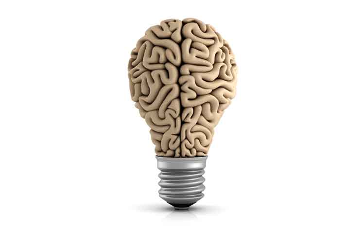 Are these My Brains? Are these My Brains Jokes Times