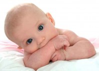 Dad, Where Did I Come From Jokes Times