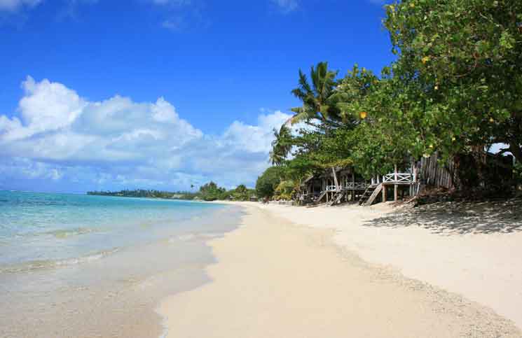 Genie Lamp along a Beach Genie Lamp along a Beach Jokes Times