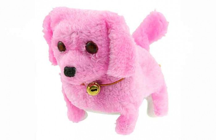 little pink dog