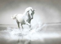 Lone Ranger and Tonto Jokes Times