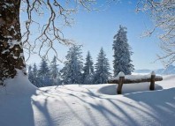 National Weather Service Jokes Times