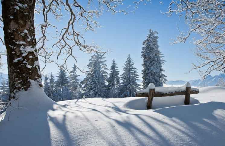 National Weather Service National Weather Service Jokes Times