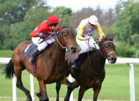 Racing Horse Jokes Times