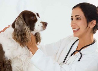 Veterinarian Jokes Times