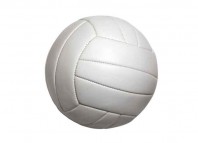 Volleyball Court Jokes Times