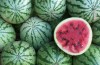 Watermelons Farm Jokes TImes
