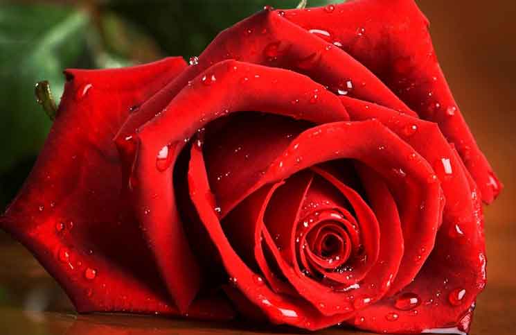 What was the Name Jokes Times