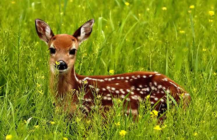 Where is Harry? Where is Harry Jokes Times